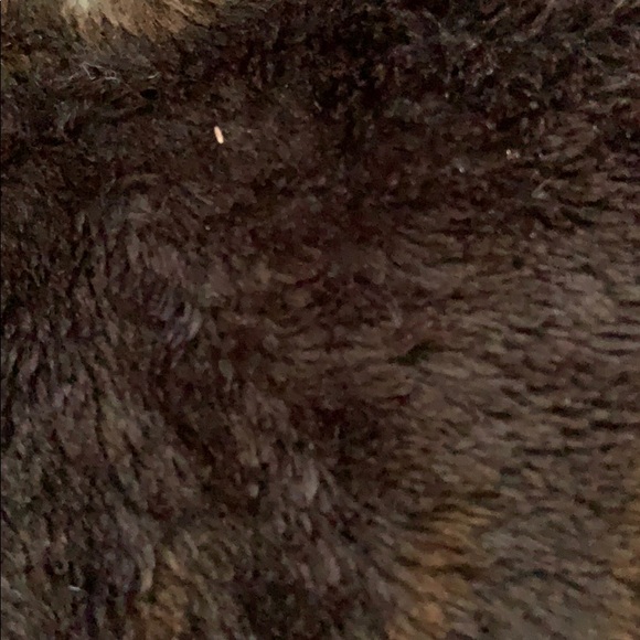 monimill